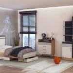 نيكساس مكتبة كتب وودي