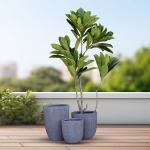 مركن أشجار مخطط كبير رمادي وودي