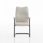 ألفا كرسي زائر جلد بيج وودي