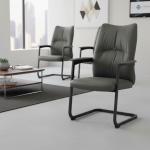 ألفا كرسي زائر جلد رمادي وودي