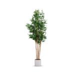 شجر بامبو 230 سم وودي