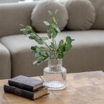 فازة مجعدة وودي