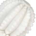 تحفة الصبار الابيض وودي