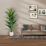 شجر درسينا 160 سم وودي