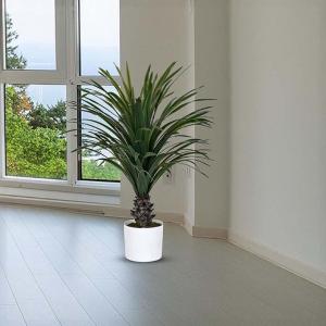 شجر يوكا 70 سم وودي