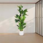 شجرة نخل 155 سم وودي