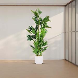 شجرة نخل 155 سم وودي