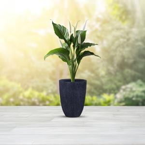 مركن أشجار مخطط كبير رمادي قاتم وودي