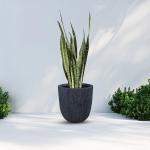 مركن أشجار مخطط صغير رمادي قاتم وودي