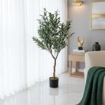 شجرة زيتون 1.20 سم وودي