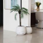 مركن أشجار فخار رصاصي كبير وودي