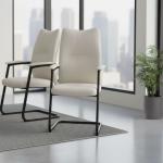 ألفا كرسي زائر جلد بيج وودي