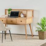 رافاشي مكتب وودي